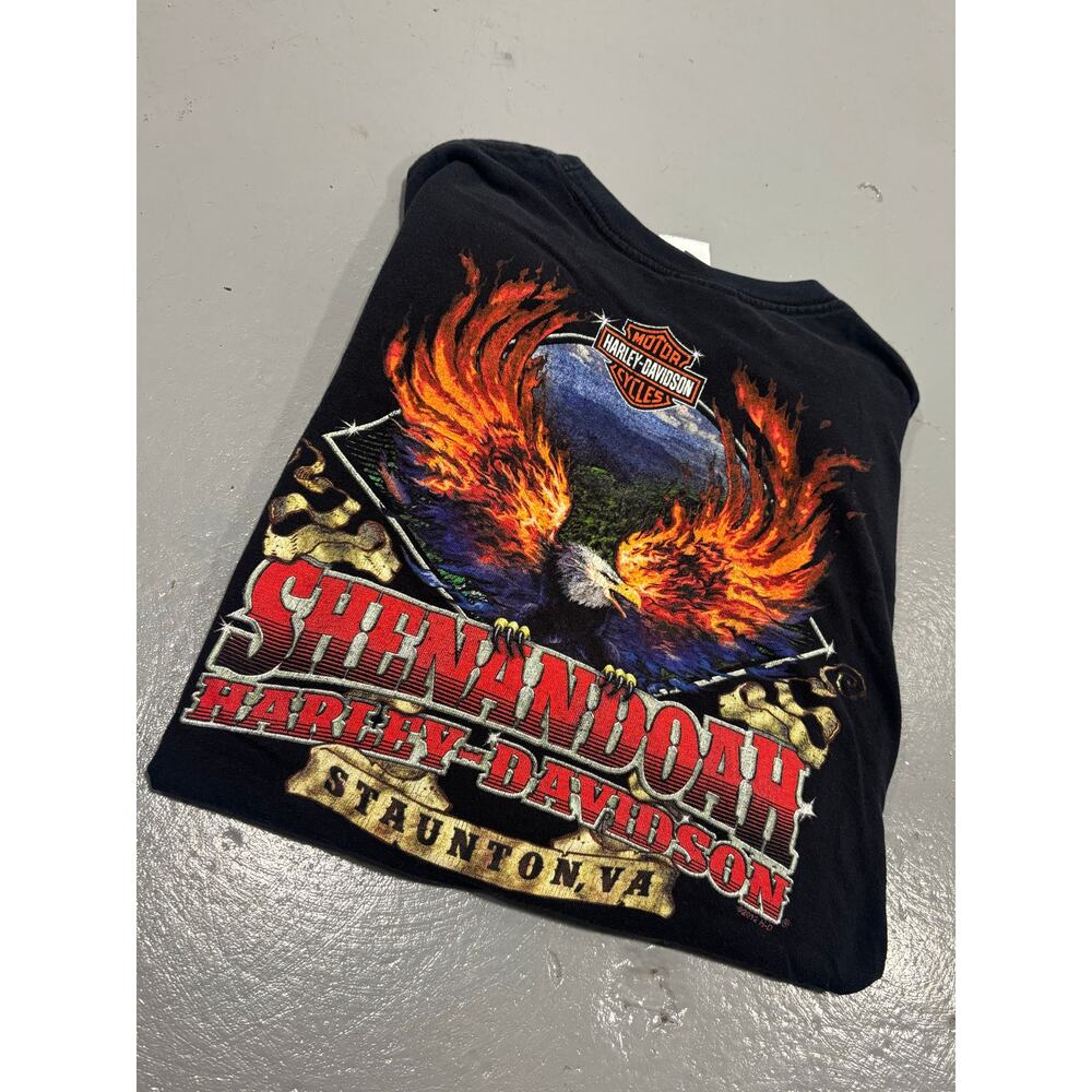Harley Davidson Shirt XL Shenandoah Staunton‎ VA Eagle Fire Graphic Black